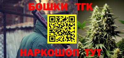 крисы Пенза