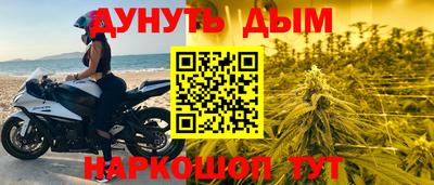 крисы Пенза