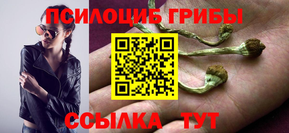 Галлюциногенные грибы MAGIC MUSHROOMS Прохладный