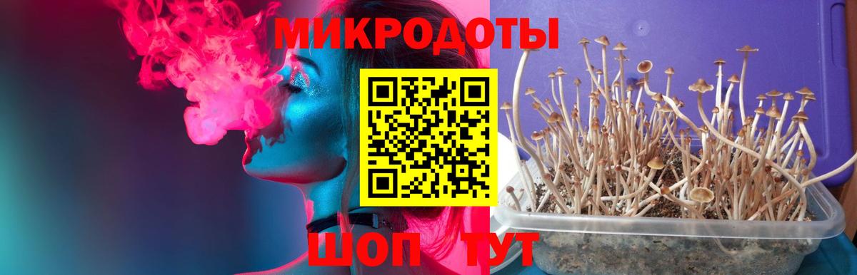 Галлюциногенные грибы GOLDEN TEACHER  Вход с VPN  Прохладный  Псилоцибиновые грибы Magic Shrooms 